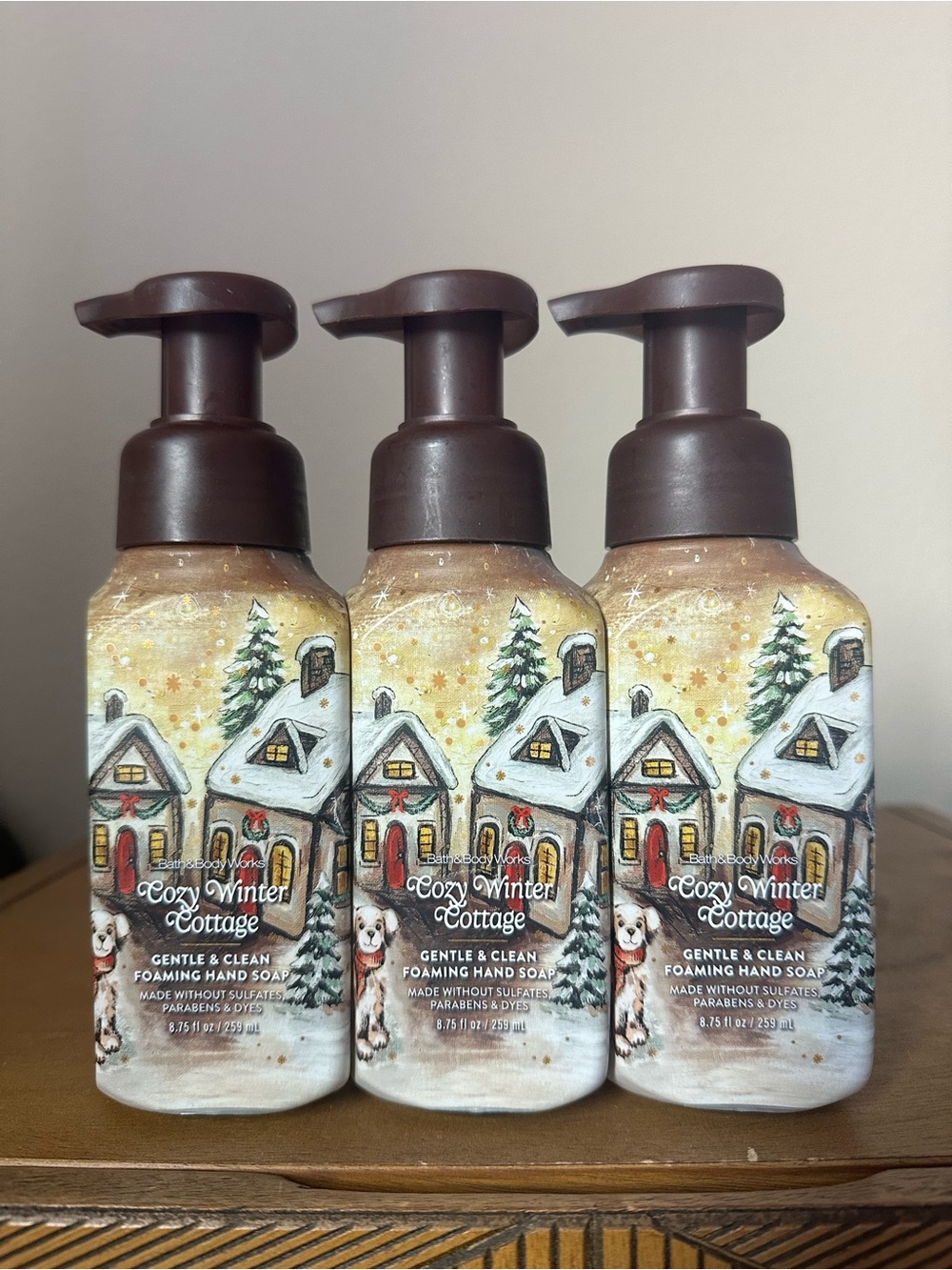 X3 Bath & Body Works Cozy Winter Cottage Foaming hand soaps NEW